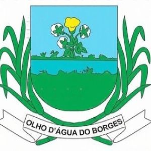 (INFORMATIVO)